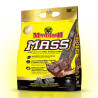 Mammoth MASS